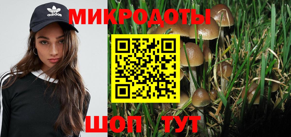 Галлюциногенные грибы MAGIC MUSHROOMS Лосино-Петровский