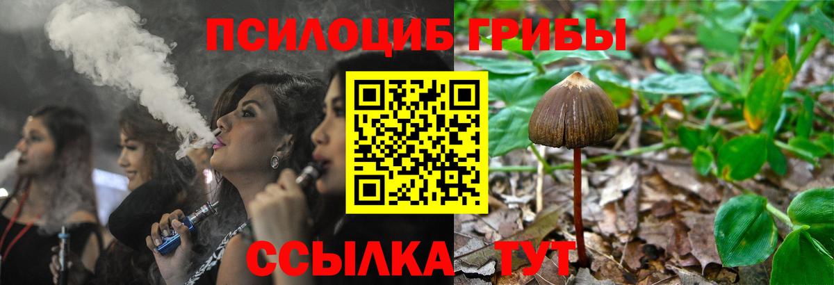 Лосино-Петровский  Галлюциногенные грибы Psilocybe  наркота  Вход с VPN 